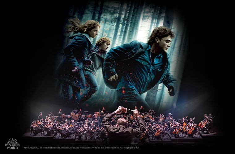More Info for Harry Potter and the Deathly Hallows™ - Part 1 in Concert